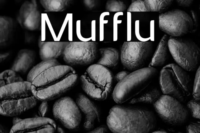 Mufflu Example 3