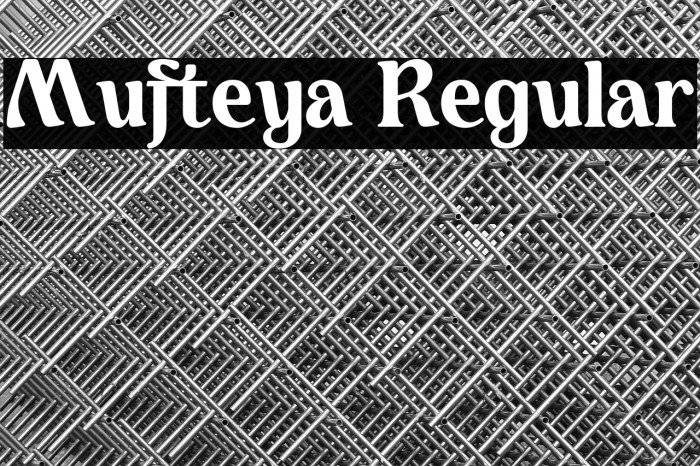 Mufteya Regular Example 3