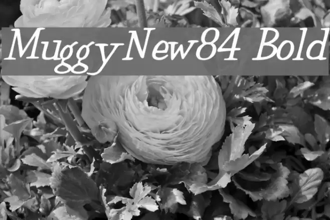 MuggyNew84 Bold Fonte examples