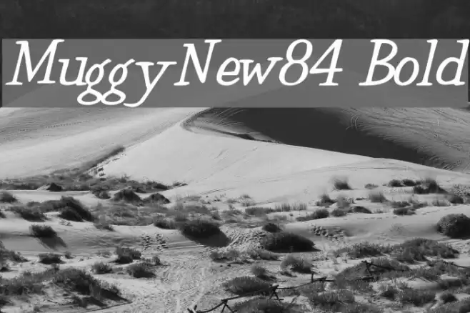 MuggyNew84 Bold Fonte examples