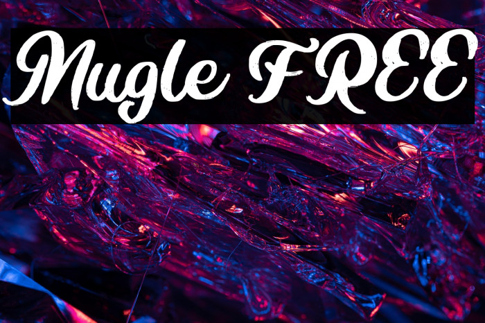 Mugle FREE Example 1
