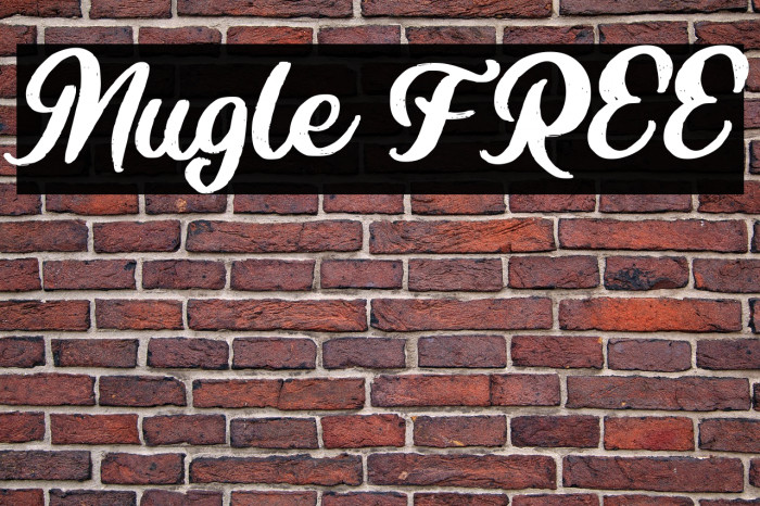Mugle FREE Example 3