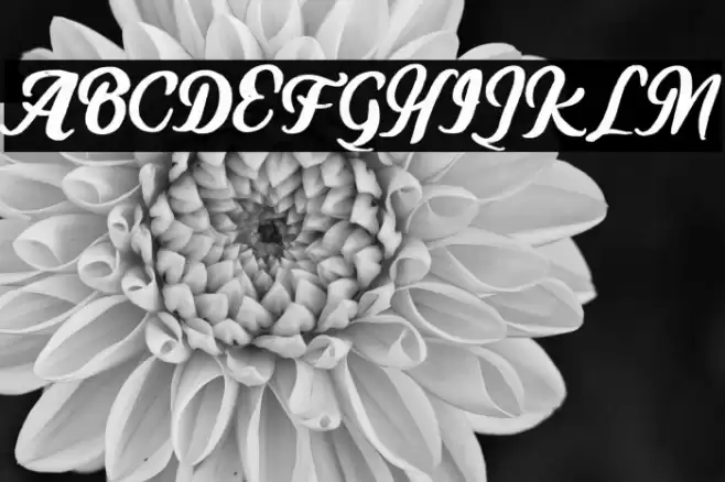 MugleFREE Font examples