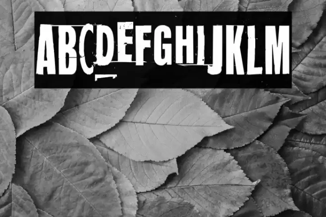 Mugwort Maximum Font examples