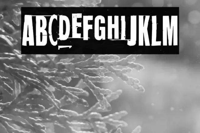 Mugwort Maximum Font examples