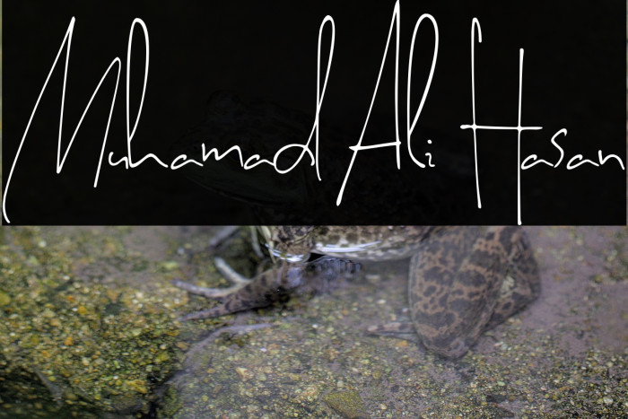 Muhamad Ali Hasan Example 2