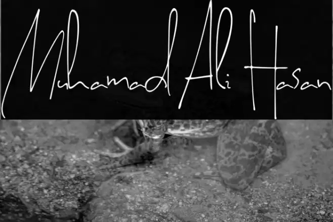 Muhamad Ali Hasan Schriftart examples