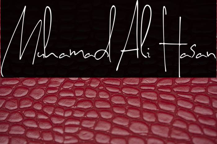 Muhamad Ali Hasan Example 3