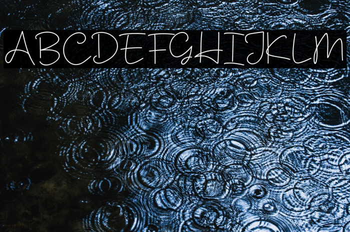 Muiden Castle Script Example 2