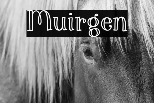 Muirgen Example 2