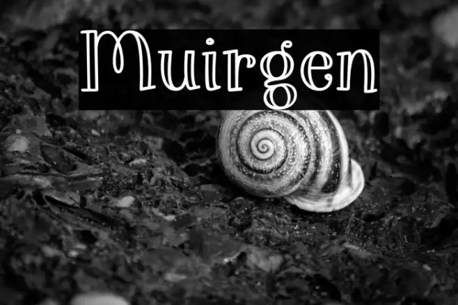 Muirgen Example 3