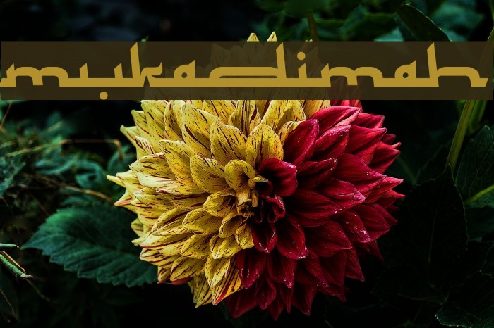 Mukadimah Font examples