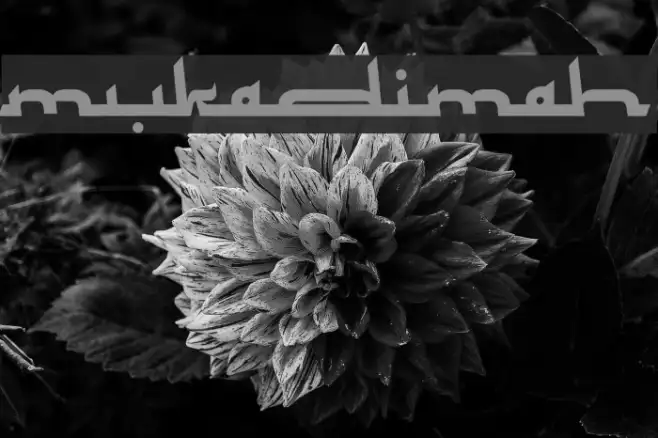 Mukadimah Example 2