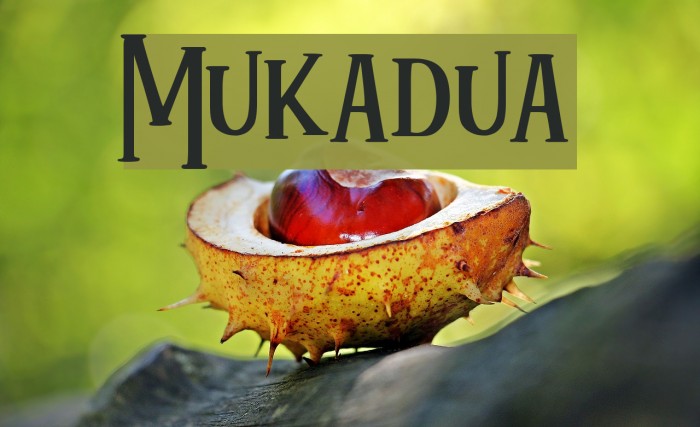 Mukadua Font examples