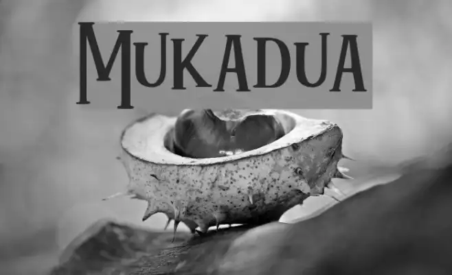 Mukadua Example 1