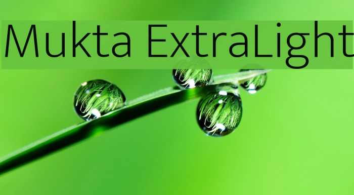 Mukta ExtraLight Font examples