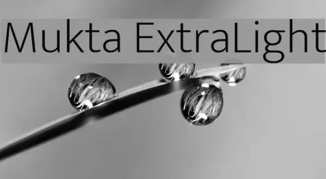 Mukta ExtraLight Example 1