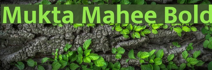 Mukta Mahee Bold Font examples