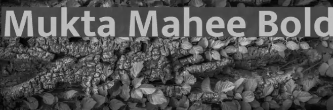 Mukta Mahee Bold Fonte examples