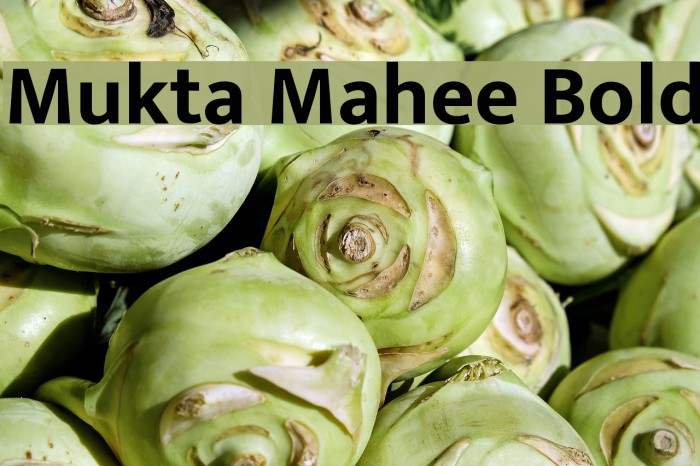 Mukta Mahee Bold Font examples