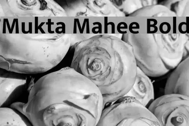 Mukta Mahee Bold Fonte examples