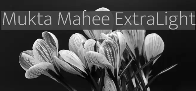 Mukta Mahee ExtraLight Font examples