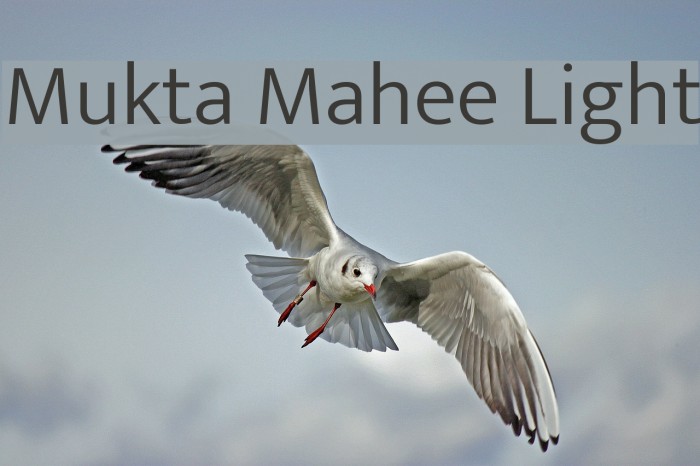 Mukta Mahee Light Font examples