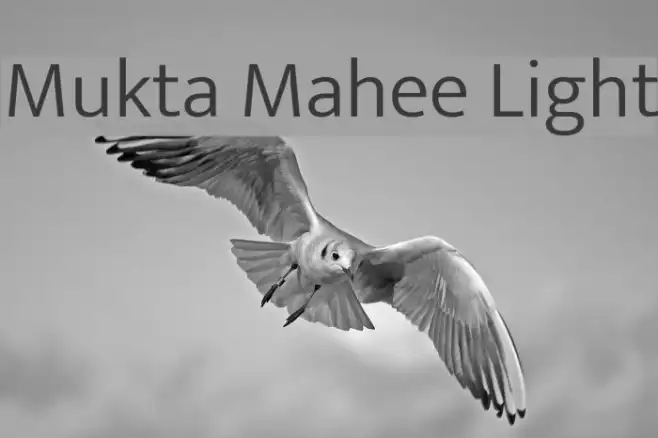 Mukta Mahee Light Example 3