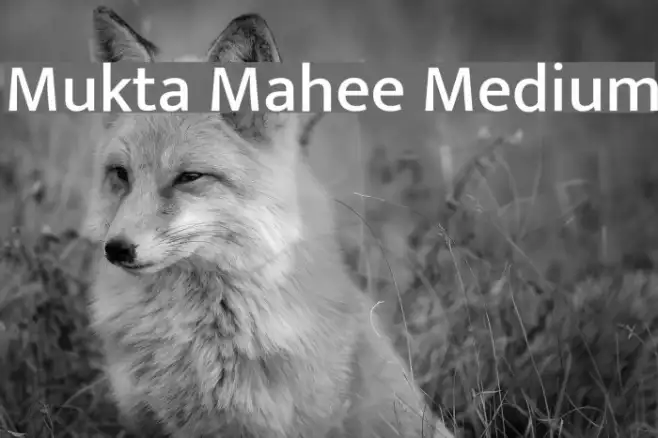 Mukta Mahee Medium Example 2
