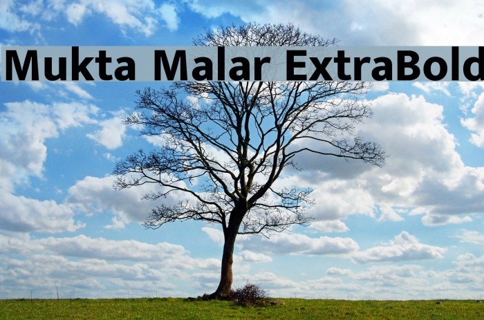 Mukta Malar ExtraBold Font examples