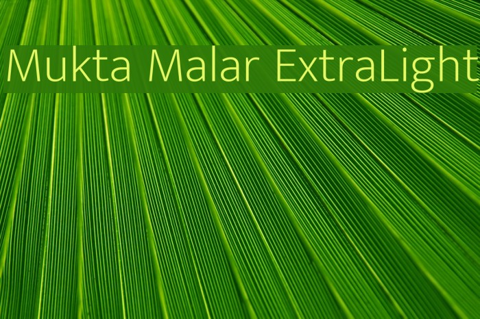 Mukta Malar ExtraLight Font examples