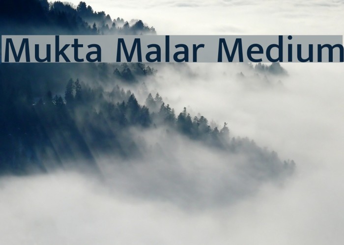 Mukta Malar Medium Font examples