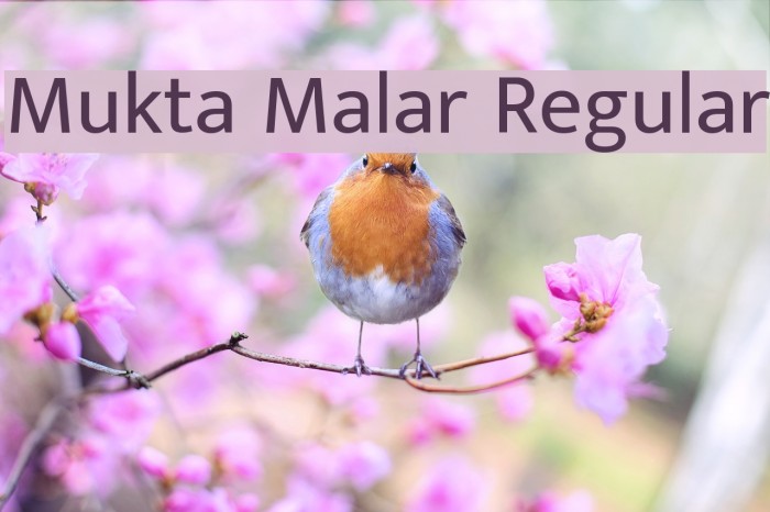 Mukta Malar Regular Font examples