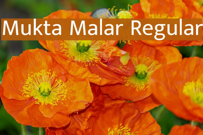 Mukta Malar Regular Font examples