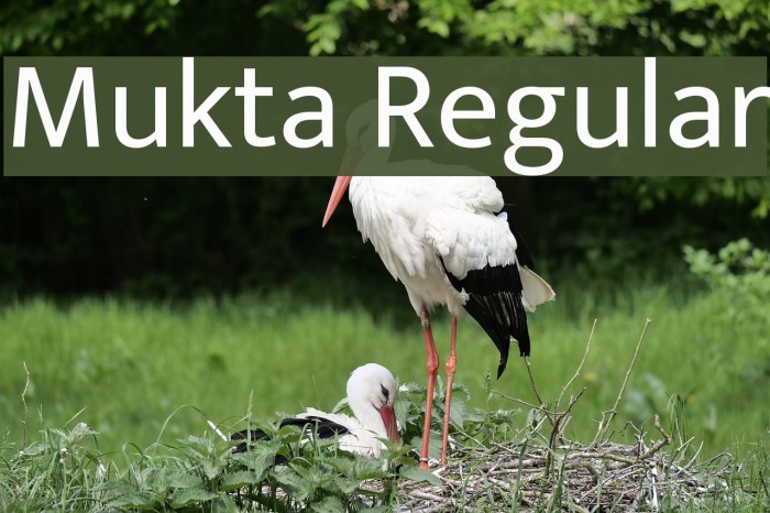 Mukta Regular Font examples