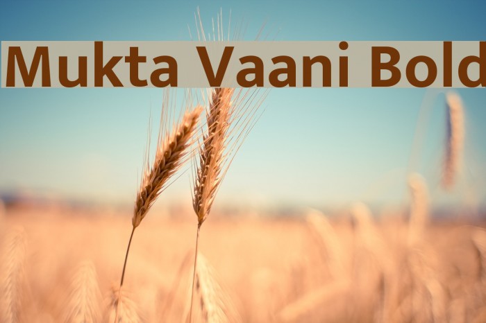 Mukta Vaani Bold Font examples