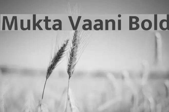 Mukta Vaani Bold Font examples