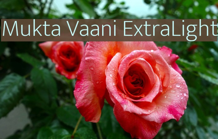 Mukta Vaani ExtraLight Font examples