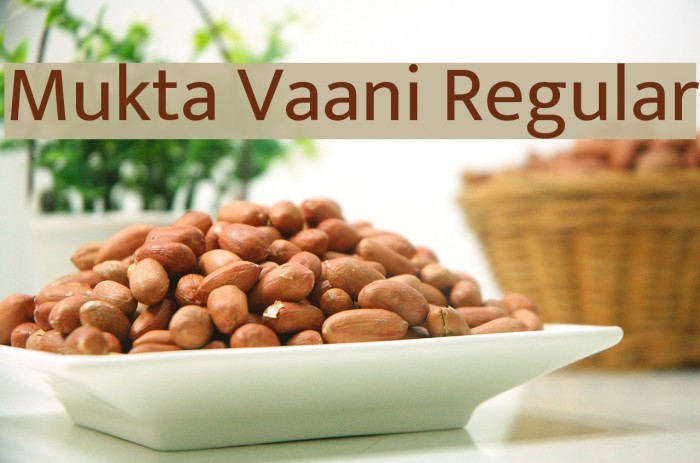 Mukta Vaani Regular Font examples