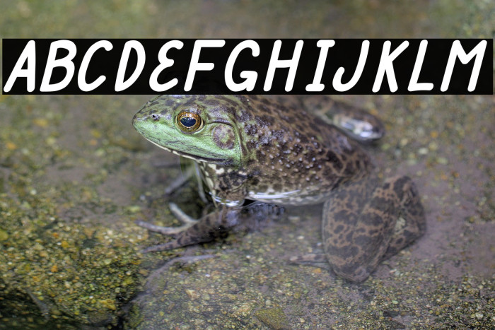 Mulbena Italic Example 1