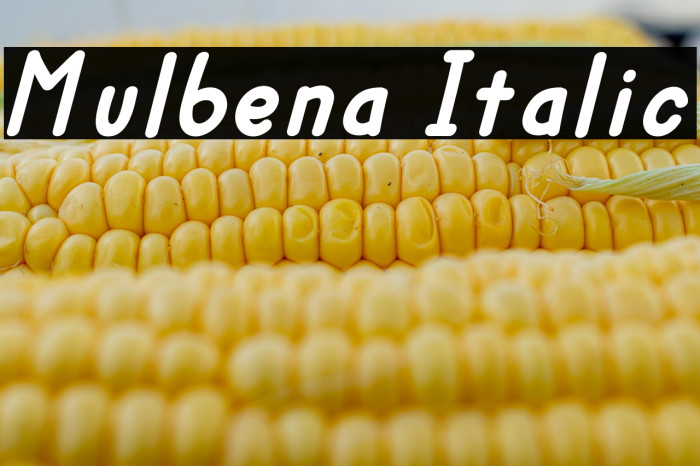 Mulbena Italic Example 3