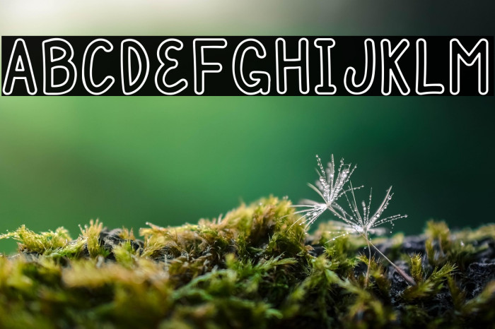 Mulbena Stroke Full Example 1