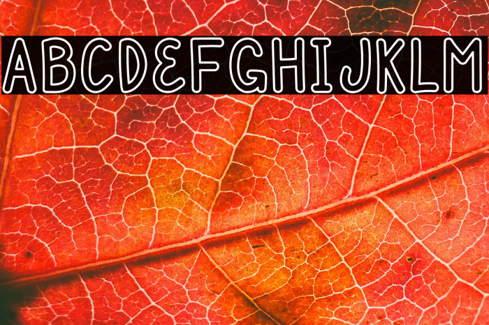 Mulbena Stroke Full Example 3