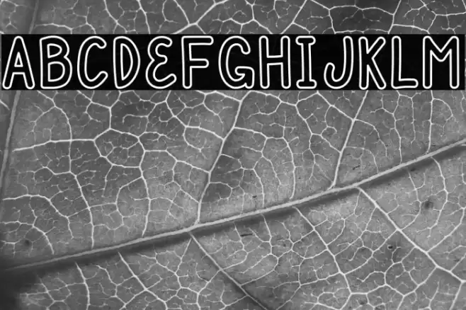 Mulbena Stroke Full Font examples