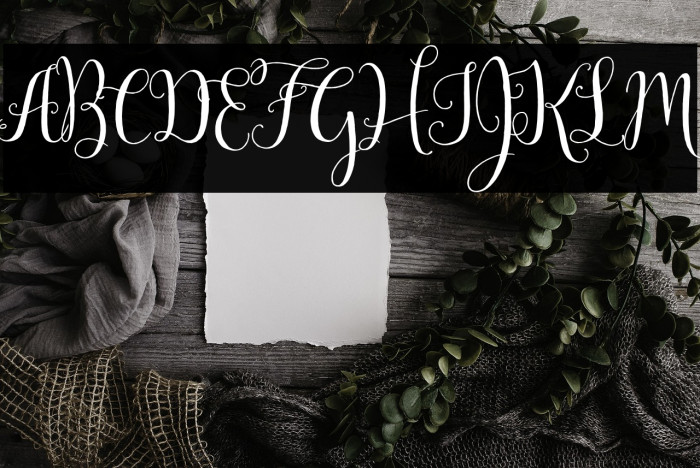 Mulberry Script Example 3