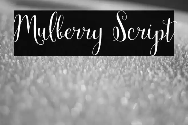 Mulberry Script Font examples