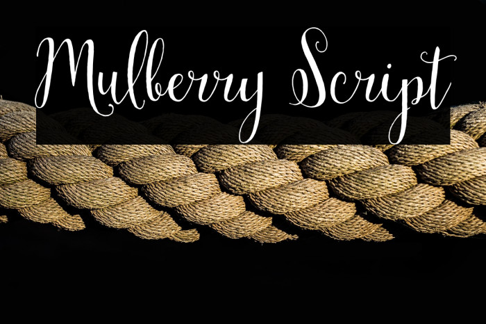 Mulberry Script Example 3