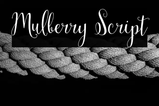 Mulberry Script Font examples