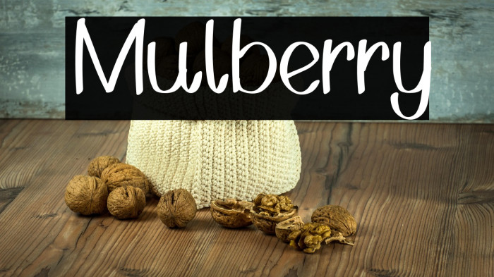 Mulberry Example 3