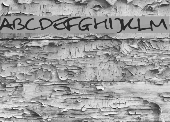 Mulder handwriting Fonte examples